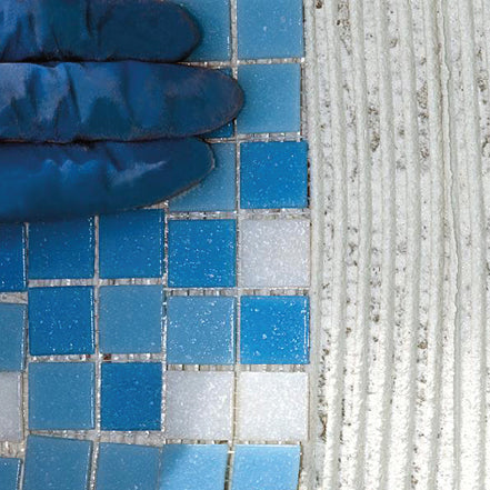 ADESILEX P10 (MAPEI)