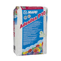 ADESILEX P10 (MAPEI)