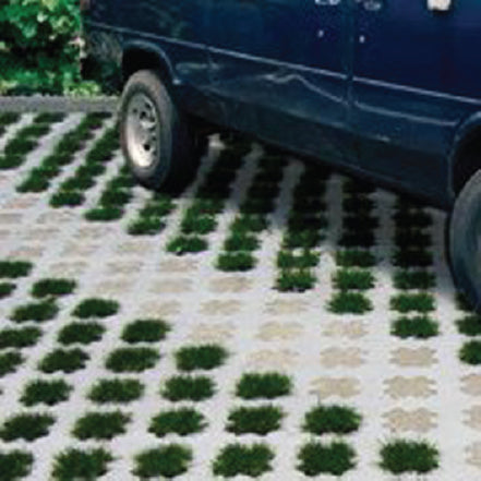 CONCRETE & GRASS MOLD (PLASTICHE 3F)