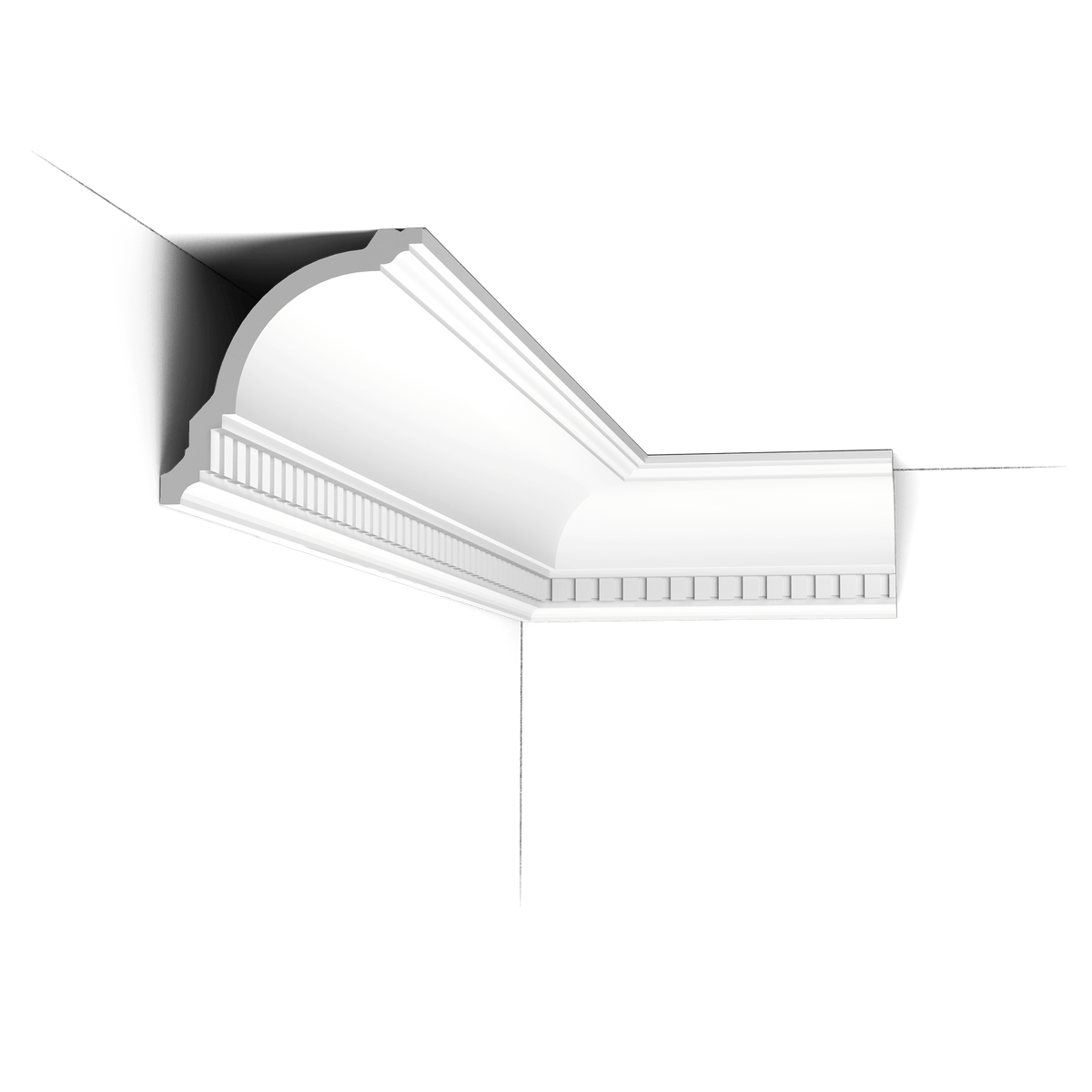 ORAC DUROPOLYMER®