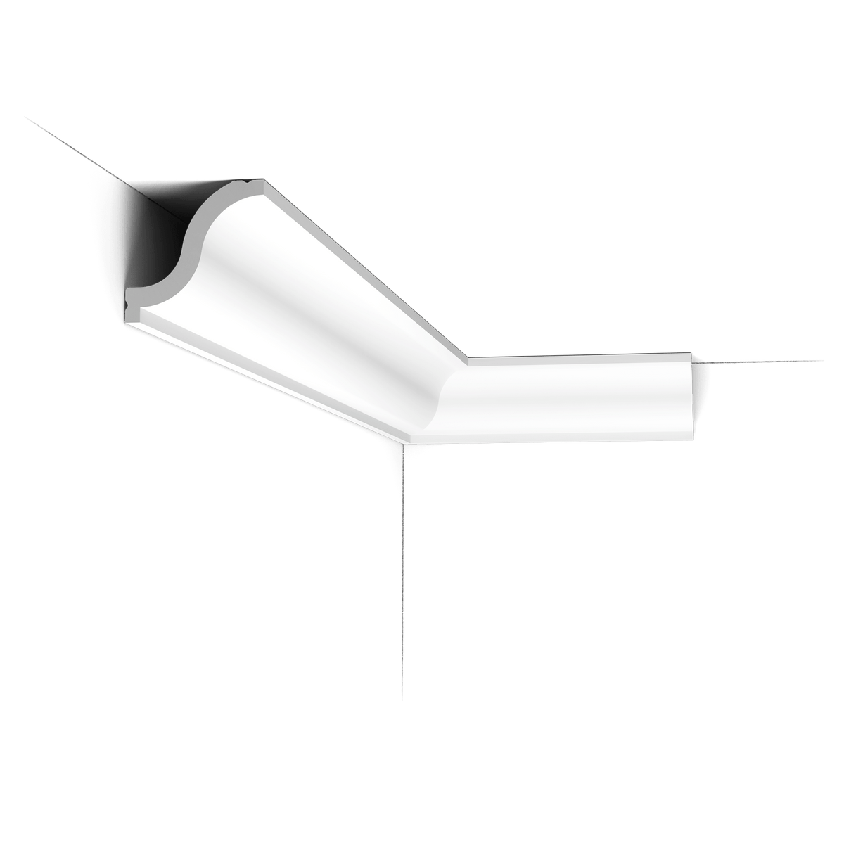 ORAC DUROPOLYMER®