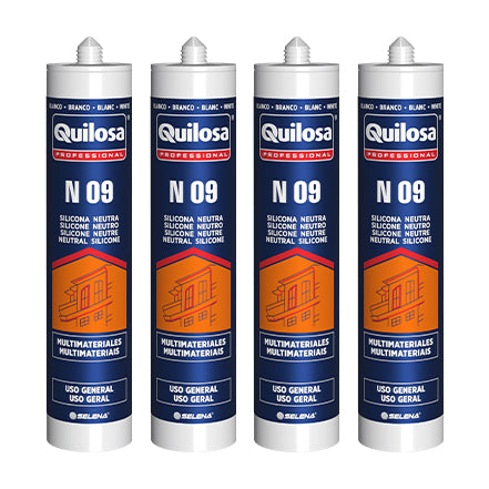 N 09 (QUILOSA)