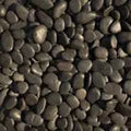 NORMAL POLISH BLACK PEBBLES