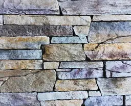 MOUNTAIN LEDGE