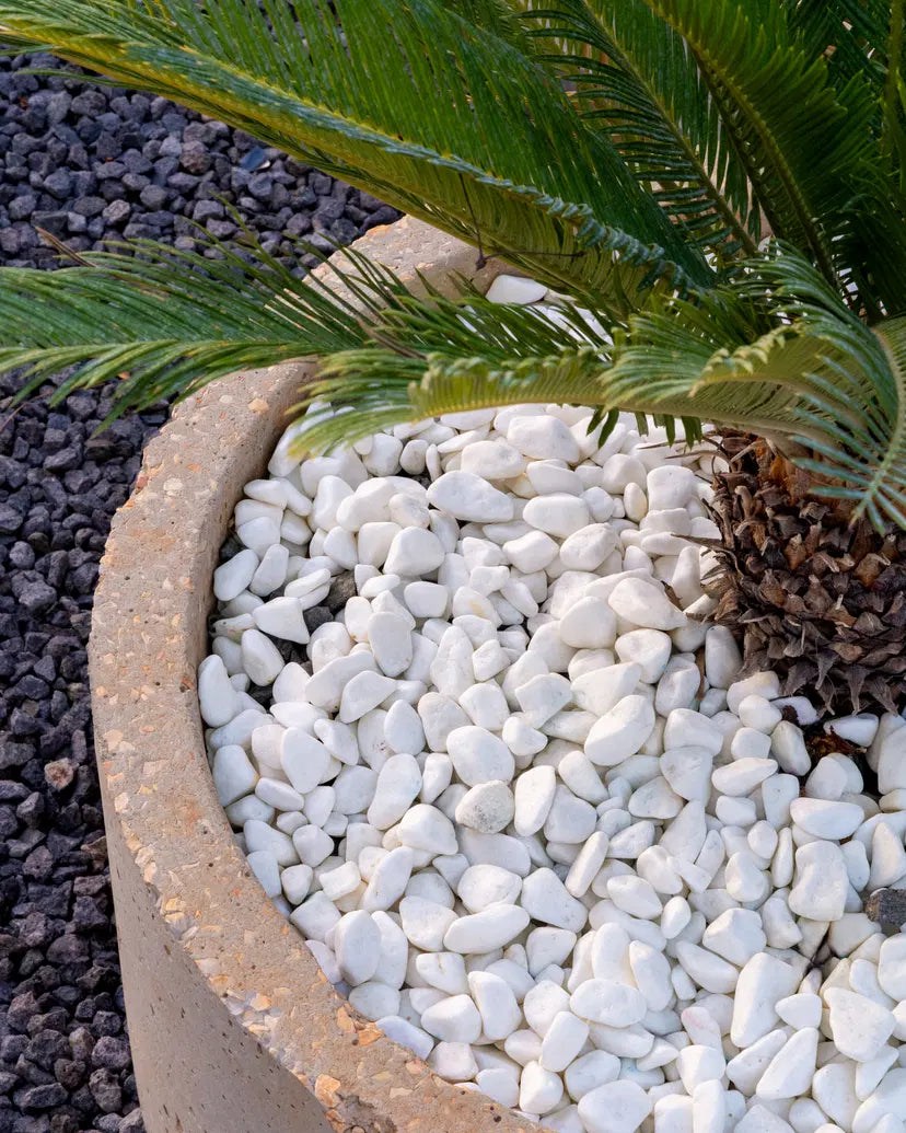 THASOS PEBBLES